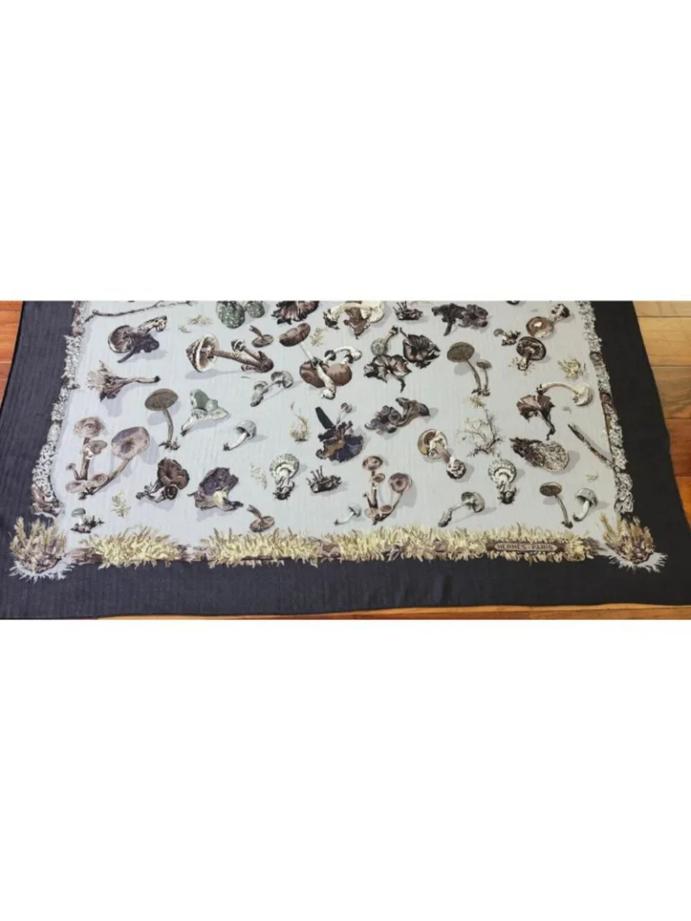 Hermès Paris Champignons Mushroom Cashmere Silk 140 Shawl Scarf Made in France